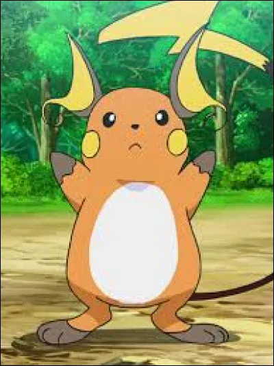 Quelle est son évolution ?