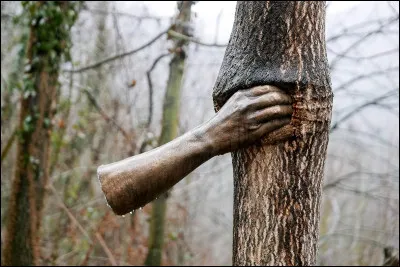 Cette &oelig;uvre de Penone appartient &agrave; quel mouvement artistique ?