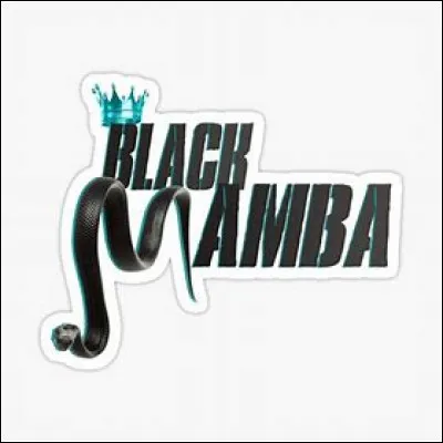 À qui appartient ce logo ? (L'image est le titre d'une de leurs chansons) ?