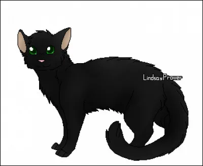 Si oui, quel est son pouvoir ?