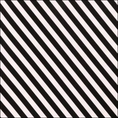 Quel petit d�animal perd ses rayures quand il devient adulte ?