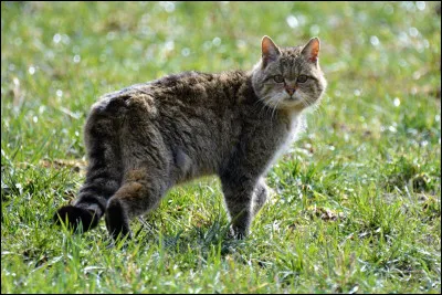 Quel mot préfères-tu ?