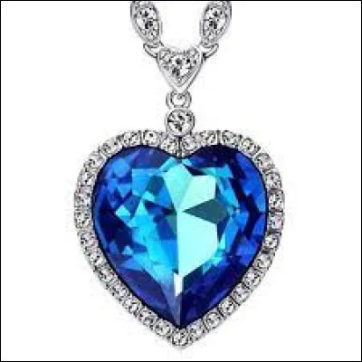 Comment nomme-t-on le collier bleu que porte Rose ?