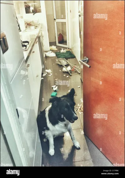 Si oui, lequel as-tu ?