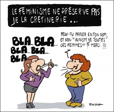 Au cours de ce débat concernant la définition actuelle du féminisme, une majorité des femmes...