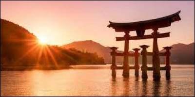 Qu'aimes-tu faire la journée ?