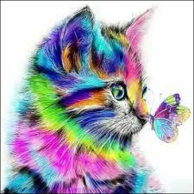 Tu préférerais t'appeler :