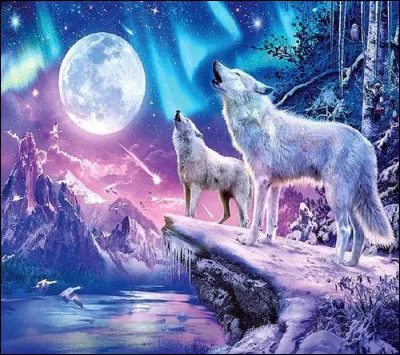 Combien les loups ont-ils de dents ?