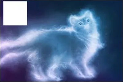 Quel est ton patronus préféré ?