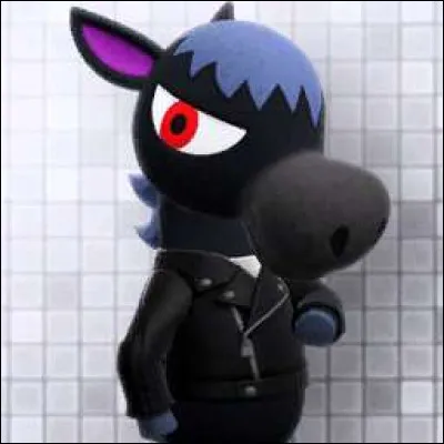 Ce petit cheval c'est :