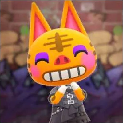 Comment s'appelle ce petit chat ?