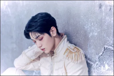 Quel est le nom complet de leur fandom ?