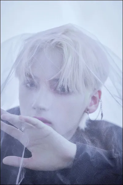 Quel est le nom coréen de Kai ?