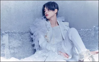 Qui est le premier membre à avoir été révélé ?