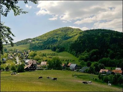 Dans quel pays vit la majorité des Sorabes, un peuple d'origine slave ?
