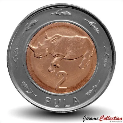 De quel genre la monnaie "pula" est-elle ?