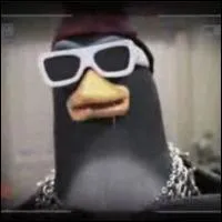 Comment s'appelle ce pingouin ?