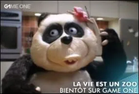 Quel est celui de ce panda ?
