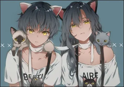 Quelle émission préfères-tu parmi celles-ci ?