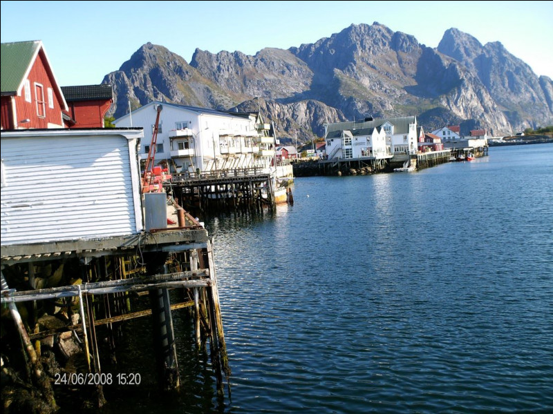 Partons vers le Grand Nord et vers le village de Henningsvaer, dans l'archipel norvégien des Lofoten. Quel poisson garantit principalement l'économie de ce petit village de pêcheurs ?
