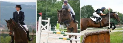 Est-ce que tu aimes les compétitions ?