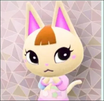 Comment s'appelle-t-il ?