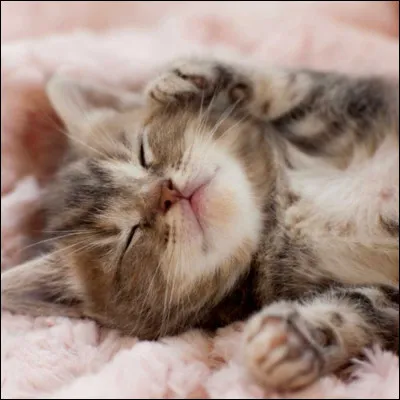 Imagine que tu vas vers elle. Elle te dit qu'elle t'aime et qu'elle t'aimera toujours mais qu'elle sait que ton amour est impossible.