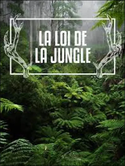 Que signifie l'expression "La loi de la jungle" ?