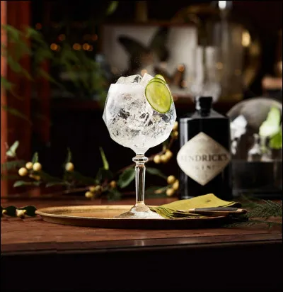 Et enfin que mélange-t-on au gin pour obtenir un gin tonic ?