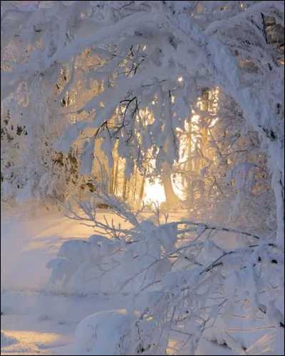 Dans quel pays les couples homosexuels obtiennent-ils enfin le droit à l'adoption en décembre 2005 ?