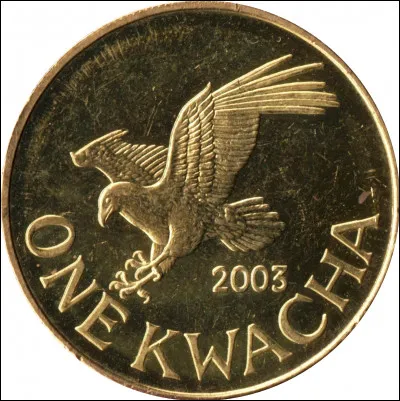 La monnaie "kwacha" est-elle du genre féminin ?