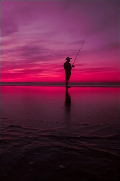 De quel pays l'observatoire SoHo est-il propulsé dans l'espace ?