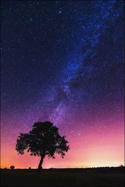 Quel magazine annonce à la fin du XXe siècle que le chromosome 22 humain est sur le point d'être totalement décrypté par les scientifiques ?