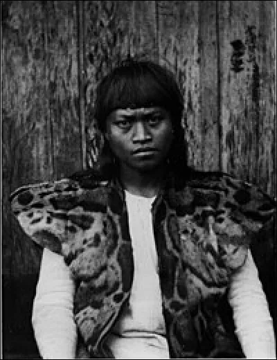 Comment s'appelle ce tueur de panthères nébuleuses ?