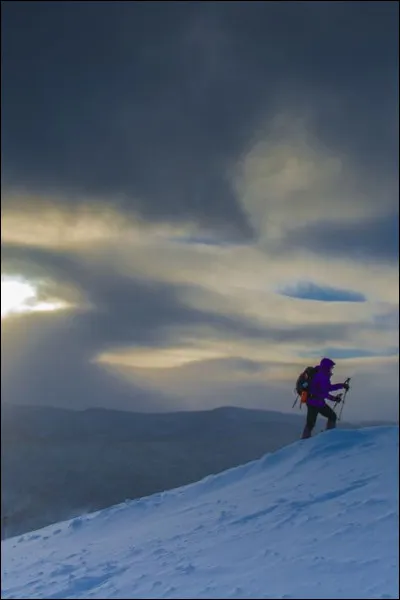 En quelle année la Belgique permettra-t-elle aux couples homosexuels d'adopter des enfants ?