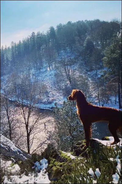 Quel aéroport américain ouvre ses portes en décembre 1939 ?