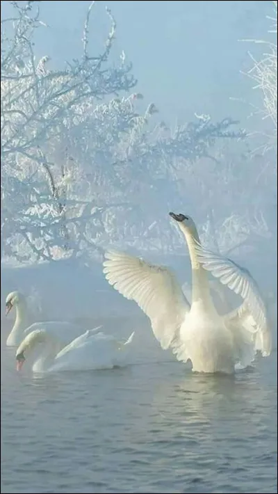 En quelle année Héctor Ruiz Pérez a-t-il été assassiné ?