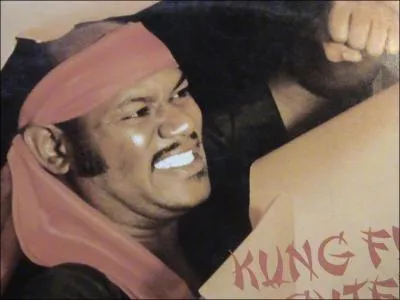 Le titre de ma chanson en hommage aux films ' Kung fu fighter ' les films de kung fu. . tait. .