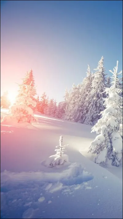 Quel pays Felipe González gouverne-t-il en 1982 ?