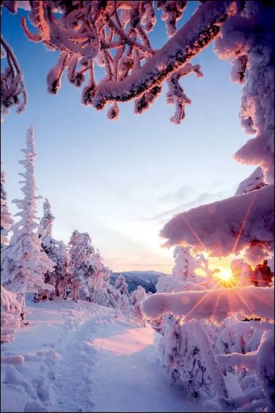 Quelle maison est associ&eacute;e au signe Capricorne ?