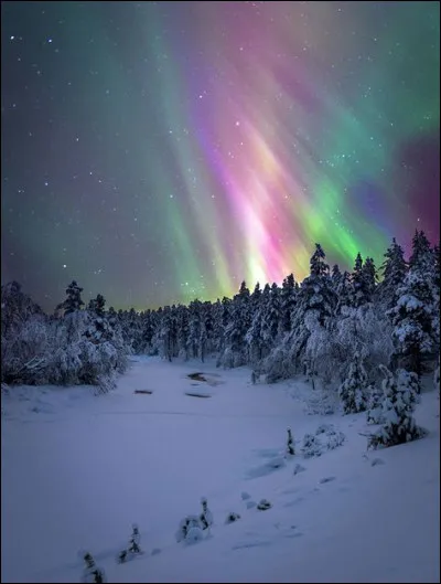Le Lion est un signe appartenant &agrave; l'&eacute;l&eacute;ment :