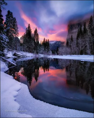 Lequel de ces signes est associ&eacute; &agrave; la maison 11 ?