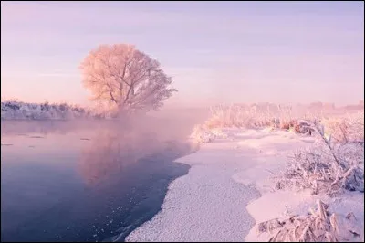Quel est l'oppos&eacute; polaire du Sagittaire ?