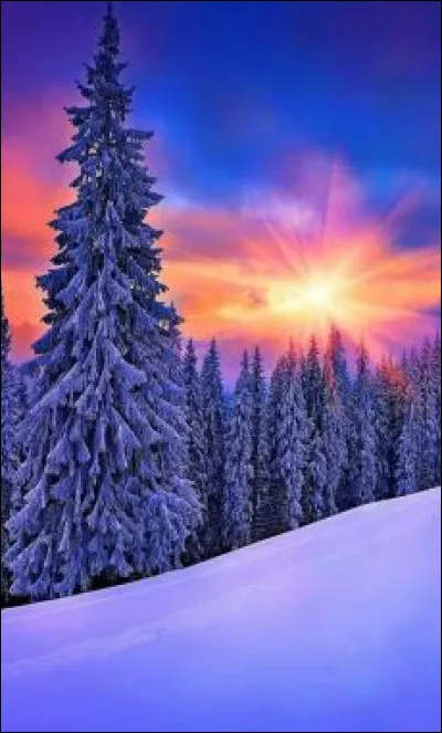 Laquelle de ces plan&egrave;tes gouverne le Taureau ?