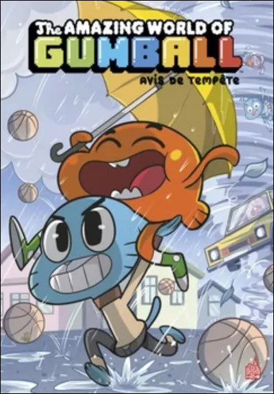 Tu t'ennuies. Que fais-tu ?