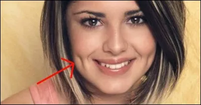 Qu'est ce qu'une contrevallation ?