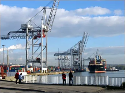 Quel animal pouvait attraper le soyon ?