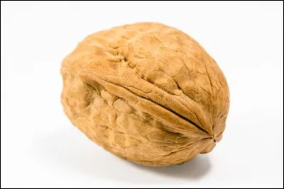 Dans les provinces méridionales de la France, l'auco était...