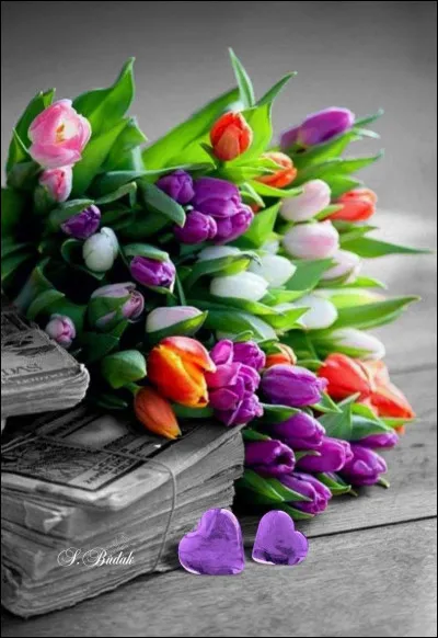 Retrouvez le roman de Romain Gary :