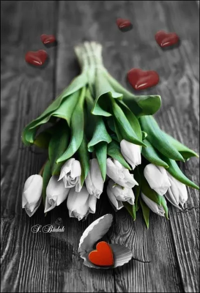 Retrouvez le titre du roman de Jörg Kastner :